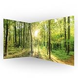 murando Eckfototapete Wald 550x250 cm Vlies Tapeten Wandtapete XXL Moderne Fototapete Wanddeko Design Wand Dekoration Wohnzimmer Schlafzimmer Büro Flur Landschaft Natur grün Baum b-B-0383-a-a