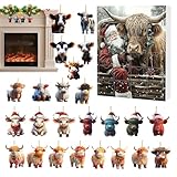 Weihnachtskalender Advent Hochlandkuh 24 Tage | Countdown-Kalender Advent Highland Cow 2D Acryl Hängende Ornamente - Ornamente für Fenster Auto Rückspiegel Wand Tür Weihnachtsbaum