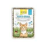 GimCat Soft-Gras - Zartes und vitaminreiches Katzengras mit schneller Aufzucht in nur 5 bis 8 Tagen - 1 Schale (1 x 100 g)