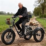 flatpincololee Elektro Dreirad Fahrrad für Erwachsene 20'x4.0' – 48V 12Ah Herausnehmbarer Power, 350W Motor, Tiefer Einstieg, Großer Korb, Doppelscheibenbremsen, Ideal für Senioren & Schneestraßen