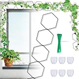 Crownow 18 Stück Kettenspalier für Kletterpflanzen, Wandspalier für Topfpflanzen, Innen- und Außenbereich, Garten-Rankgitter für Kletterpflanzen, Kletterpflanzenstütze für Monstera, Pothos, Efeu