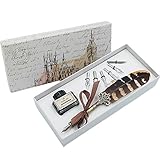 hhhouu Feder Stifte Kalligraphie Set Anfänger Schönschreibfüller mit 6 Stück Federn und Tintenfass Feder zum Schreiben für Kunst, Unterschriften, Dekoration, Geschenk HO-Q-300