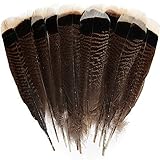 24 Stück natürliche wilde Truthahnfedern, 20–25 cm, für Bastelarbeiten, Projekte, Sammlung, Hochzeitsdekoration, Wildtruthahnschwänze