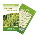 Rosmarin Mehrjährig Samen - Rosmarinus officinalis - Rosmarinsamen - Kräutersamen - Saatgut für 20 Pflanzen