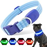 PZRLit Leuchthalsband Hund Aufladbar, Hundehalsband Leuchtend für Klein Mittel große Hunde, Einstellbar LED Halsband für Hunde für Nacht Sicherheit (Blau, Mittel)