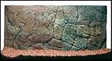 3D Aquarium Rückwand 50x30 Aquariumrückwand Dünn