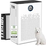 Luftreiniger für Große Räume bis 110 m², 2 x H14 HEPA Filter & Waschbarer Vorfilter, CADR 350 m³/h, 6-stufiges Filtersystem, Ideal für Hausstaub, Gerüche, Tierhaare