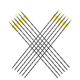 12er Fiberglaspfeil für Bogenschießen, 26 Zoll Bogenpfeile Pfeile Fiberglaspfeil für Sportbogen, Recurvebogen, Langbogen