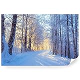 Fototapete Vlies - Vliestapete Tapete Wandtapete Motivtapeten Vliestapeten Wohnzimmer Schlafzimmer Bildtapete Verschneiter Weg im Wald zwischen den Bäumen 208 x 146 cm