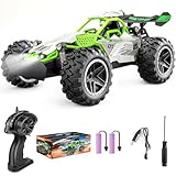 Pmgud Ferngesteuertes Auto, 2,4 GHz 1:18 Proportional 2WD 20+ km/h Hobby Offroad Monster RC Truck, wasserdichte RC Truggy RTR Geländegängig Spielzeug (Grün)