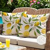 ViaElayu Outdoor Kissenbezug 40x40 cm Gelb Zitronen Kissenhüllen Outdoor Kissen Wetterfest Sofakissen Dekokissen Gartenkissen Couchkissen Frühling Sommer Deko für Wohnzimmer Bank Terrasse 2er Set