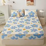 Matratze Beschützer Toper, Queen Deep Pocket Saited Sheet Deckbettwäsche einziehbares Matratzenabdeckungsmatratze Naht Matratzenschütze Gute Atmungsaktivität geeignet für Zuhause,D,180*200cm