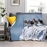 Flanell Kuscheldecke 130x170cm Schwarzer Papageientaucher 3D Wohndecke Warm Weiche Schmusedecke Sofadecke Kinder Erwachsene für Wohnzimmer, Schlafzimmer, Camping, Picknick