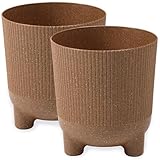 PECZEKO Blumentopf matt, Pflanzkübel mit Beinen, Dekorativer Topf für, groß und klein Pflanzen, 2er-Set blumenkübel, blumenkübel kräutertopf (2 Pack) Creme, ø 16 cm