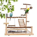 Vogelspielzeug, Papageienspielzeug, Wellensittich Spielzeug, Spielplatz Mit Feeder-Cup Spielzeug Leiter Erklimmen Schaukel Und Tablett Vogelschaukel Sitzplatz Für Sittiche Nymphensittich, 37x26x45CM