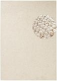 BT Carpet Wolly Teppich – Wohnzimmerteppich Flachgewebe Kurzflor Woll-Optik Wolle Skandi-Look Esszimmer, Wohnzimmer, Kinderzimmer, Schlafzimmer – Creme, 140x200cm