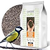 Schwarze Sonnenblumenkerne 30 kg Wildvogelfutter ganzjähriges Futter Vogelfutter Jungtiere geeignet Winterfutter 30kg Ernte 2024