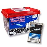 Feenkrebse Komplettset mit Urzeitkrebseiern: 6 l Aquarium, Filter, Luftpumpe, Zubehör, Zuchtansatz, Futter und Anleitung, Dendrocephalus brasiliensis