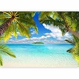 murando - Vlies Fototapete Tropische Insel 350x256cm Foto tapete Wohnzimmer Vliestapete XXL Wandtapete Motivtapeten 3d Effekt Wand Dekoration - Tropical Strand Meer Landschaft Palmen 10110903-21
