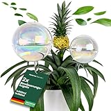 Netrox 2er Set Bewässerungskugeln Glas – automatische Pflanzenbewässerung für Zimmerpflanzen, Garten, Blumen & Balkon – ideal im Urlaub – Bewässerung, Bewässerungssystem Topf, Wasserspender Pflanzen
