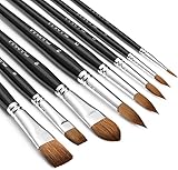 Aquarellpinsel Set - 8er Professionell Rotmarder Pinselset für Aquarell, Wasserfarben, Gouache | Künstlerpinsel, Filbert Pinsel, Rund Pinsel, Flach Pinsel | Echthaar Pinselset für Hohe Absorption