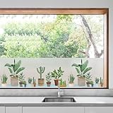 dktie Fensterfolie Blickdicht Sichtschutzfolie Fenster Milchglasfolie Topfpflanzenmuster Statisch haftend ohne Klebstoff Wiederverwendbar Geeignet für Wohnzimmer, Schlafzimmer, Küche 44.5x200cm