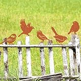 Rost Vogel Gartendeko für Draußen Rust Vögel Garten Deko Frühling,Gartenstecker Metall Roststecker Wetterfest,5er set Bird Baumstecker mit Schraube für Gartendekoration Bäume Pfähle oder Zäune