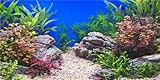 MIRRORANG 61x30cm Wasserpflanze Aquarium Hintergrund Stein Flussbett & See Aquarium Hintergrund Vinyl