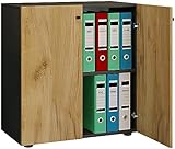 VCM Büroschrank mit 2 Fächern | moderner Aktenschrank mit Drehtüren | Maße ca. B. 70 x H. 74 x T. 40 cm - Lona 2-Fach