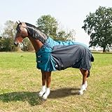 Brama-West Winterdecke Pferd 200g Montana - Turnout 1200D - Outdoordecke Gefüttert - Wasserdicht - Winddicht - Petrol/Navy