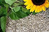 Futterbauer 2 x 10 kg Sonnenblumenkerne geschält Vogelfutter