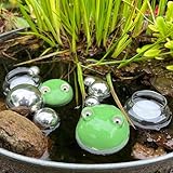 Storm's Gartenzaubereien Schwimmfrösche 2er Set mit Teelichtschalen und silbernen Schwimmkugeln - Teichkugeln Teichdeko