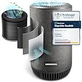 Grundig Luftreiniger Allergiker Air Purifier - Extra leise Hepa Filter + AKTIVKOHLEFILTER filtert 99,9% Schimmel Staub Pollen Viren Raucherzimmer, Luftqualitätsanzeige - 49m2 (Luftreiniger)