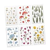 UTHCLO 6 Blätter Selbstklebende DIY Scrapbooking Sticker mit Blumenmotiven Transparent Langlebig und Einfach zu Verwenden für Tagebücher Notizbücher und Kreative Zufällige Farbe
