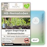 FairyFly HB-Nematoden gegen Engerlinge & Dickmaulrüssler 20m²/100 Pflanzen – biologische Schädlingsbekämpfung im Boden 1–10 Mio
