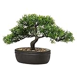 Künstliche Bonsai im Topf, Künstliche Bonsai Baum, Bonsai Kunstpflanze Wie Echt, Japanische Deko Kunstbaum Bonsai Podocarpus, Künstliche Zimmerpflanzen für Baddeko Desktop Büro Fensterbank, Mittel