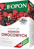 Dünger für Obststräucher Obstdünger Beerendünger Saftiges Beeren Obst 50m2 1kg