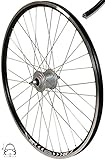Redondo 28 Zoll Vorderrad Laufrad Schwarz Hohlkammer Felge Shimano Nexus DH-C3000 Nabendynamo