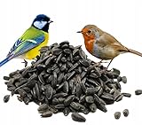 Green Hobby Sonnenblumenkerne Schwarz 20 Kg Vogelfutter