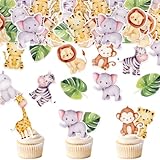 Blumomon 40 Stück Essbar Tier Cupcake Topper Tier Geburtstags Kuchen Deckel Dekorationen für Kindergeburtstags Party Dekoration Dschungel Safari Thema Party Zubehör