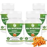 Morsan Healthcare Sanddorn (Hippophae rhamnoides) Kapseln | Packung mit 60 x 500 mg. Vegetarische Kapseln | Natürliches Nahrungsergänzungsmittel | GMP-zertifiziert | Glutenfrei (Pack Of 4)