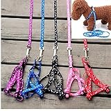 PiniceCore 1 x Nylon Haustier-Katze-Hund Welpen-Leinen Blei-Gurt-Seil-Hot