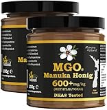 BEE NATURAL MGO 600+ PREMIUM MONOFLORAL NEUSEELAND MANUKA HONIG IN EINEM UMWELTFREUNDLICHEN ECHTGLASGEFÄß AUS NICHT GEFÄRBTEM GLAS * 2x 250G MANUKAHONIG * MGO 514 550 = UMF 15, 600 625 = UMF 16