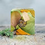 Armenischer Kräutertee „Morning Mood“ – 40 g | Premium-Auswahl wilder Bergkräuter mit Wilder Minze, Johanniskraut & Helichrysum | Edle Tee-Geschenkbox für belebende Morgen und natürliches Wohlbefinden