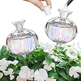 shallyong 2 Stück Bewässerungskugeln Glas, Wasserspender Pflanzenn Bewässerung Glaskugeln, Automatisches Selbstbewässerungssystem für Zimmerpflanzen, Topfpflanzen Innen Deko und Garten