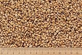 (Grundpreis 0,69 €/kg) - 25 kg Weizen ganzes Korn - Futterweizen - Hühner - Nager - Wildvögel
