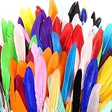 TOAOB 250 Stück Bunte Indianer Federn Natürliche Feder 10 bis 15cm läng für DIY Handwerk Dekoration