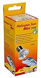 Lucky Reptile Halogen Sun Mini Doppelpack - 35 W Wärmestrahler für E27-Fassungen - Mini Halogenstrahler für Reptilien - Terrarium Lampe mit Tageslichtspektrum - Wärmelampe für kleine Terrarien, Silber, 1 Stück (1er Pack)