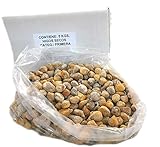 Getrocknete Feigen aus Spanien - 100 % natürlich - Sonnengetrocknet - handverlesen - Superfood - Glutenfrei und Vegan - 5Kg Karton