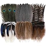 BelleVive 48 Stück Naturfedern in Großpackung – 6 Stile, 48 Stück Verschiedene Naturfedern, Pfauenfedern, Fasanenfedern, Truthahnfedern zum Basteln, Selbermachen, Schmuck, Hut, Hochzeit